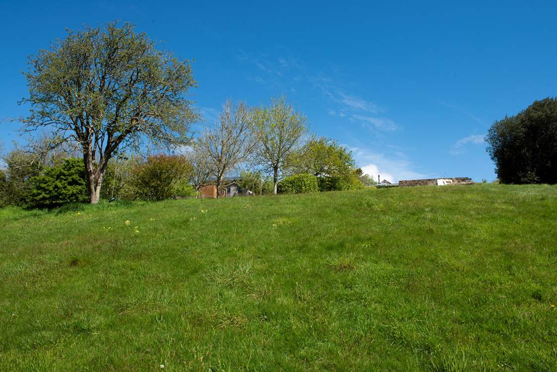 Looking back from the bottom of the shared grounds.