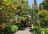 Ventnor Botanic Gardens are worth a visit throughout the seasons.