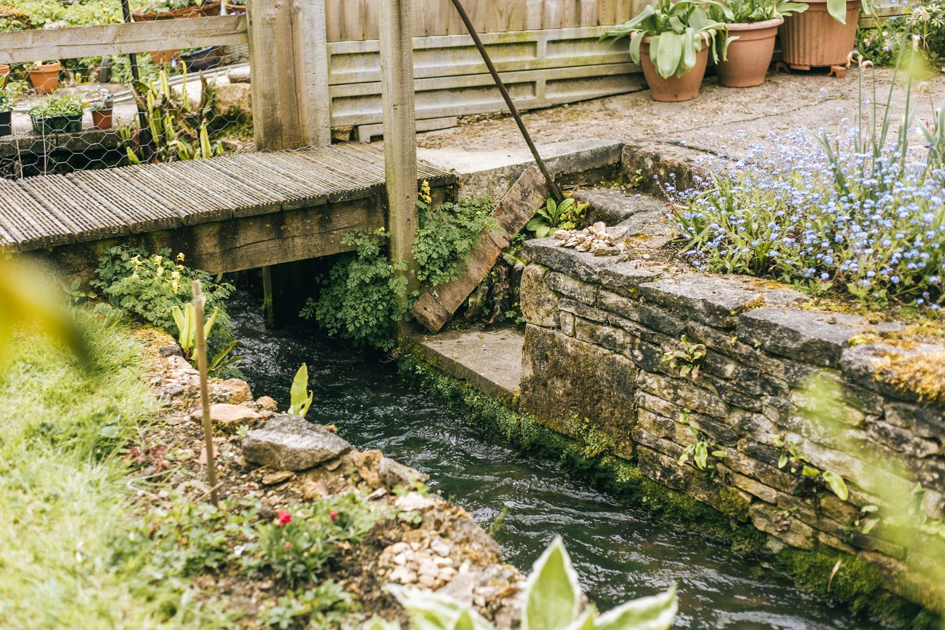The pretty stream runs through the garden.