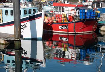 Visit the bustling harbour in Newlyn, buy the freshest of fish.