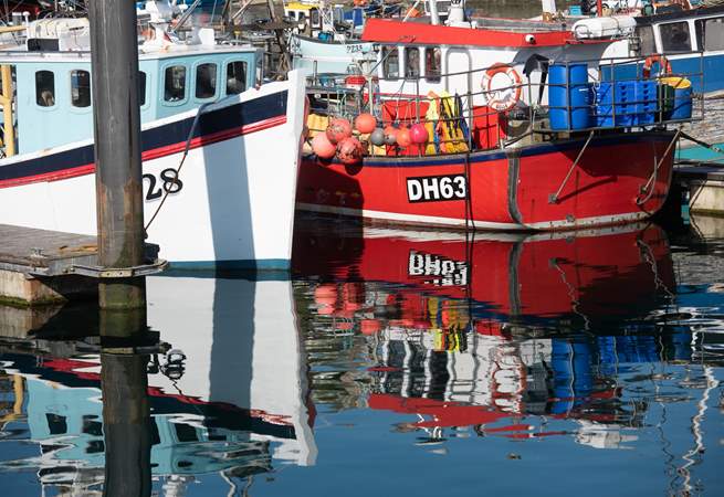 Visit the bustling harbour in Newlyn, buy the freshest of fish.