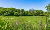 Simply stunning, especially as there are a few horses to enjoy watching whilst they wander these paddocks. - Thumbnail Image