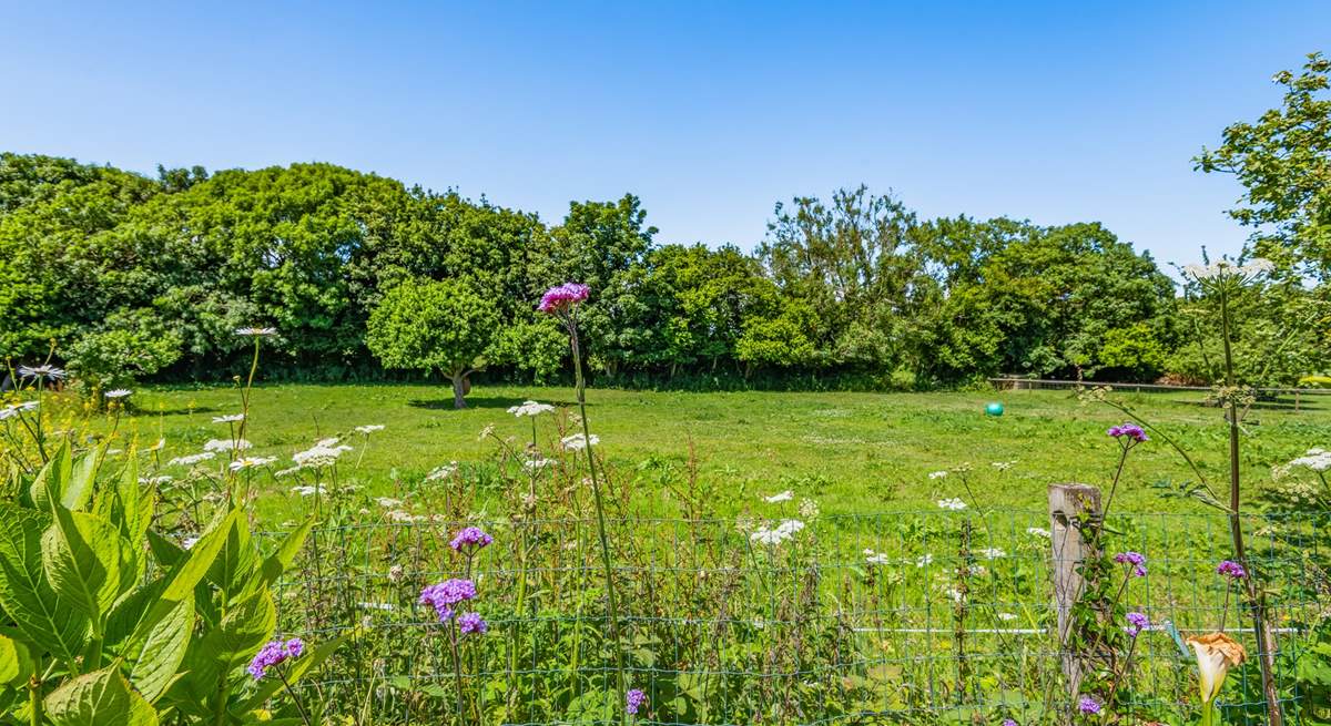 Simply stunning, especially as there are a few horses to enjoy watching whilst they wander these paddocks.