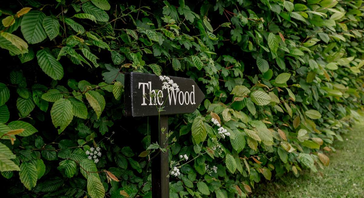 Head on down to the secret woodland area - your doggy friends will thank you!