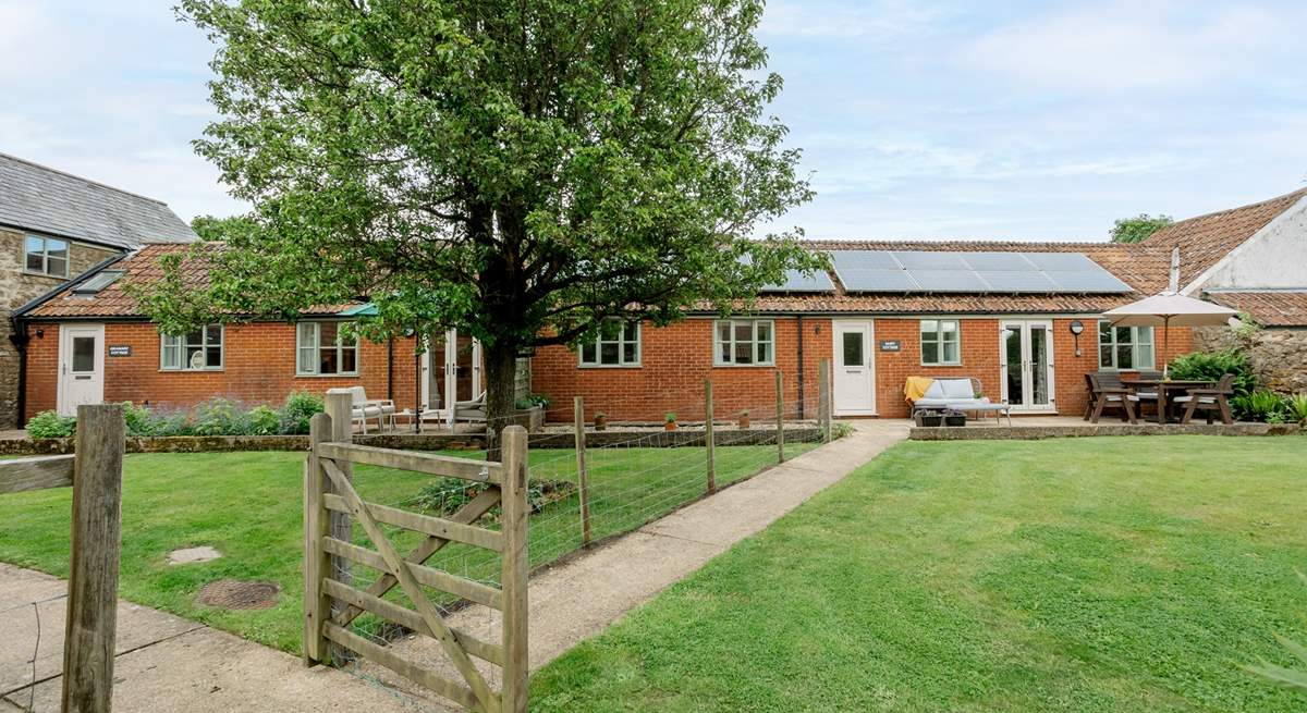 The Dairy is next door to The Granary and the gardens are separated by a wire fence. Privacy is ensured with the trellis just visible behind the tree. 