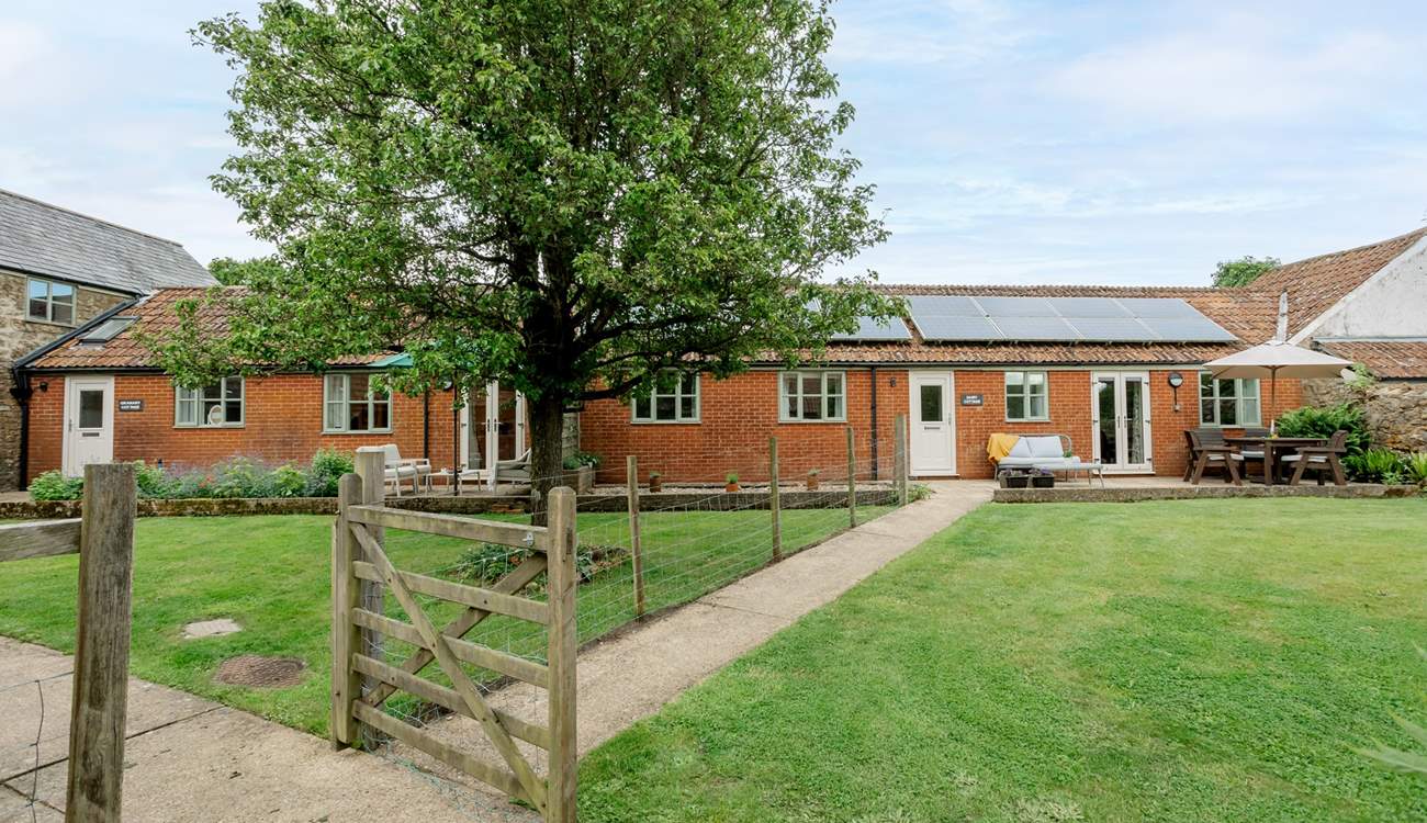 The Dairy is next door to The Granary and the gardens are separated by a wire fence. Privacy is ensured with the trellis just visible behind the tree. 