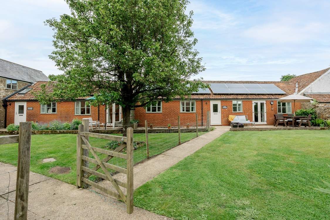 The Dairy is next door to The Granary and the gardens are separated by a wire fence. Privacy is ensured with the trellis just visible behind the tree.