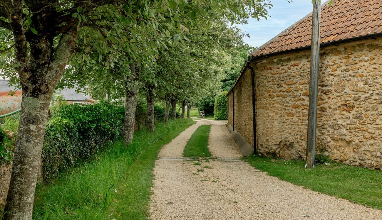 A shot of the driveway that is well maintained.