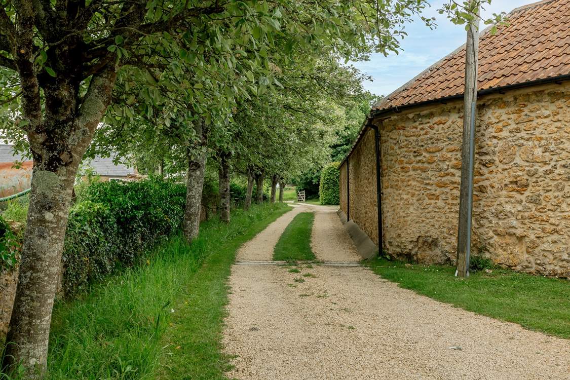 A shot of the driveway that is well maintained.