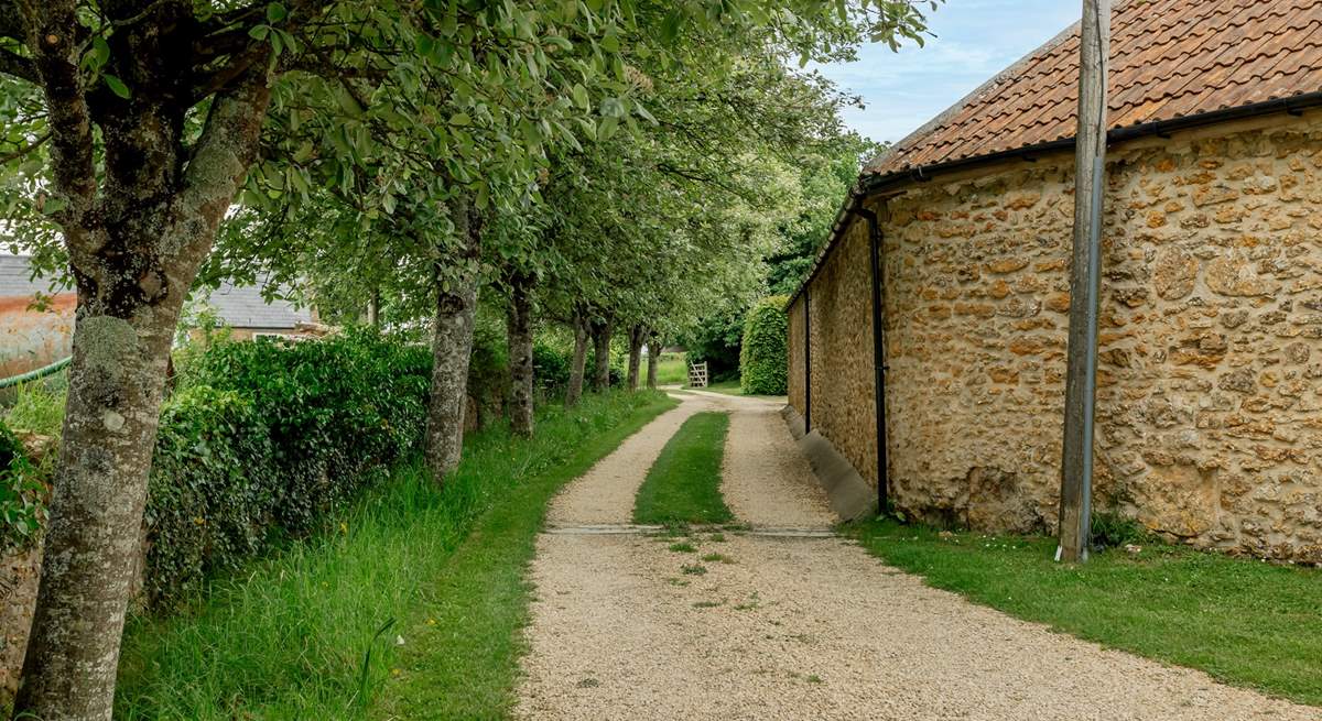 A view of the driveway which is well maintained.