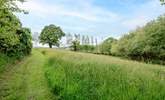 Find a peaceful spot in the woodland and wildflower area. - Thumbnail Image