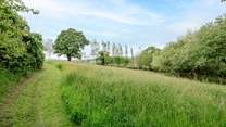 Find a peaceful spot in the woodland and wildflower area.