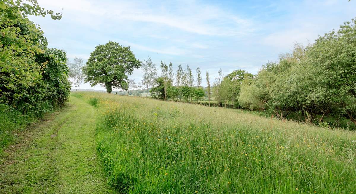 Find a peaceful spot in the woodland and wildflower area.