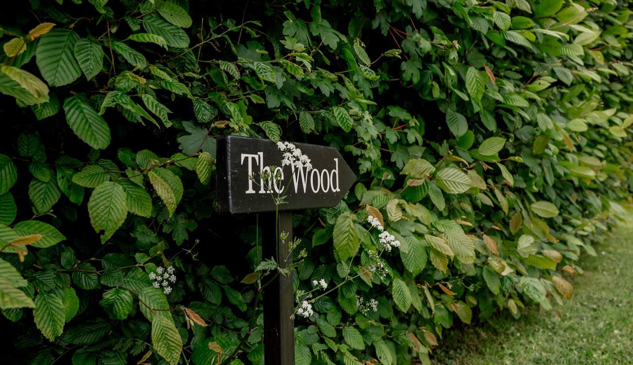 Venture to the secret woodland.