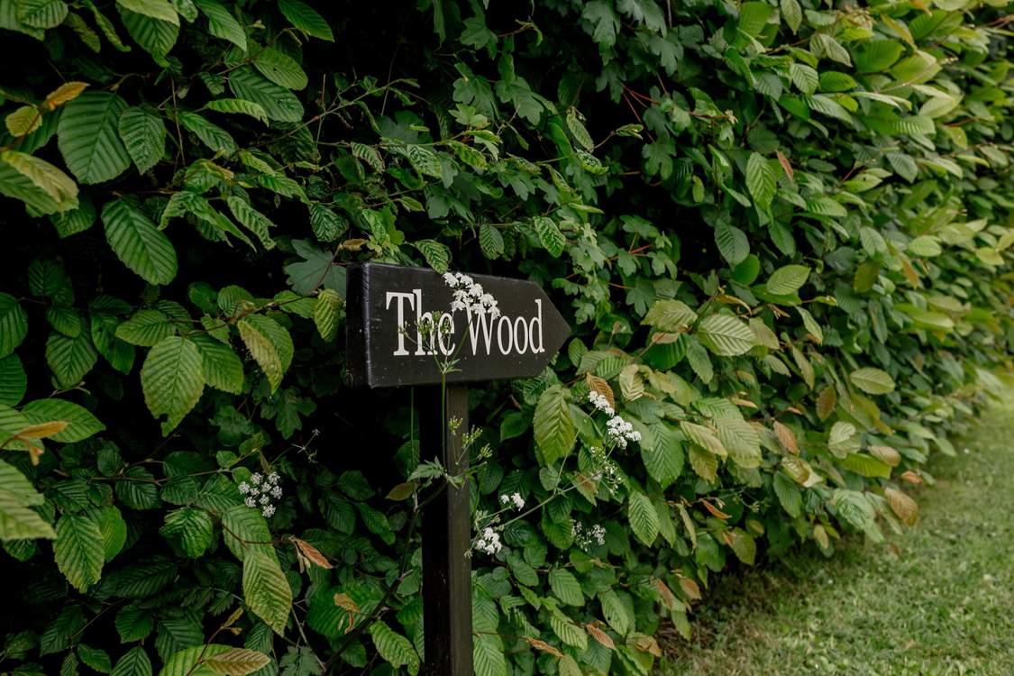 Venture to the secret woodland.