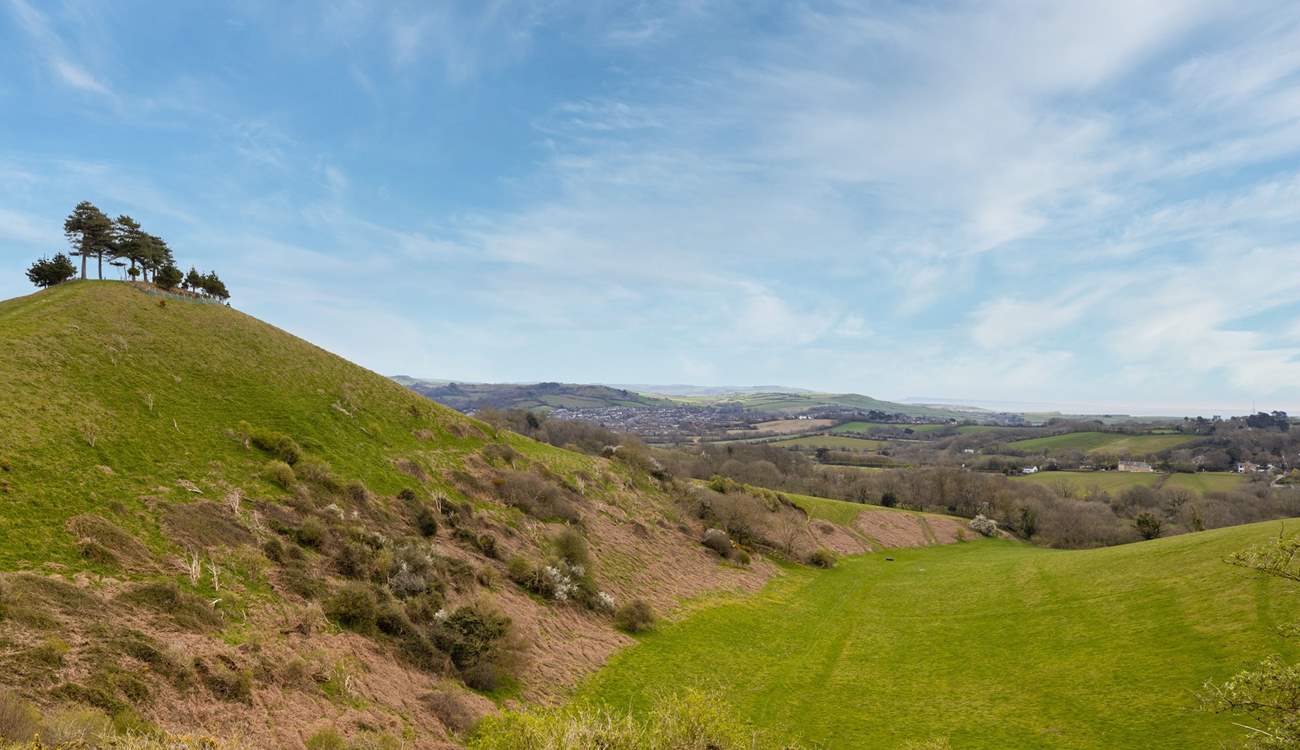 Head for a trip to Symondsbury Estate and climb Colmer's Hill.
