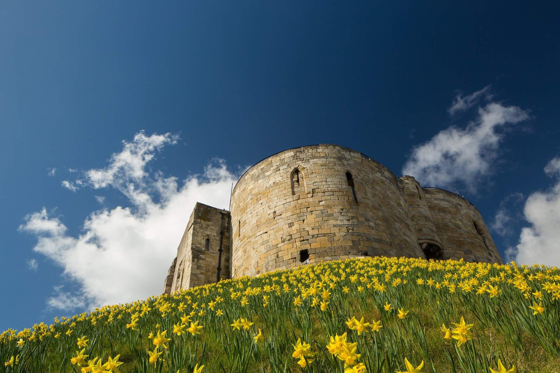 Visit Clifford's Tower near the Castle museum.