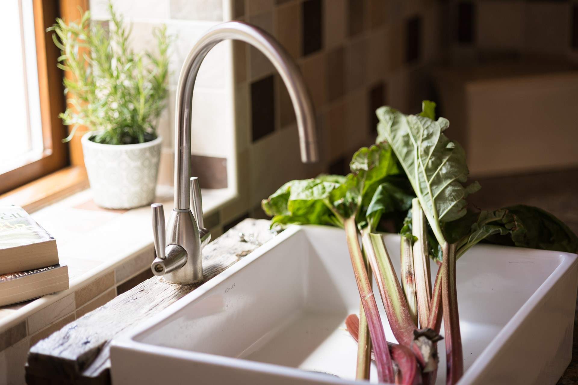 Yorkshire is famous for rhubarb from the Rhubarb Triangle, try some!