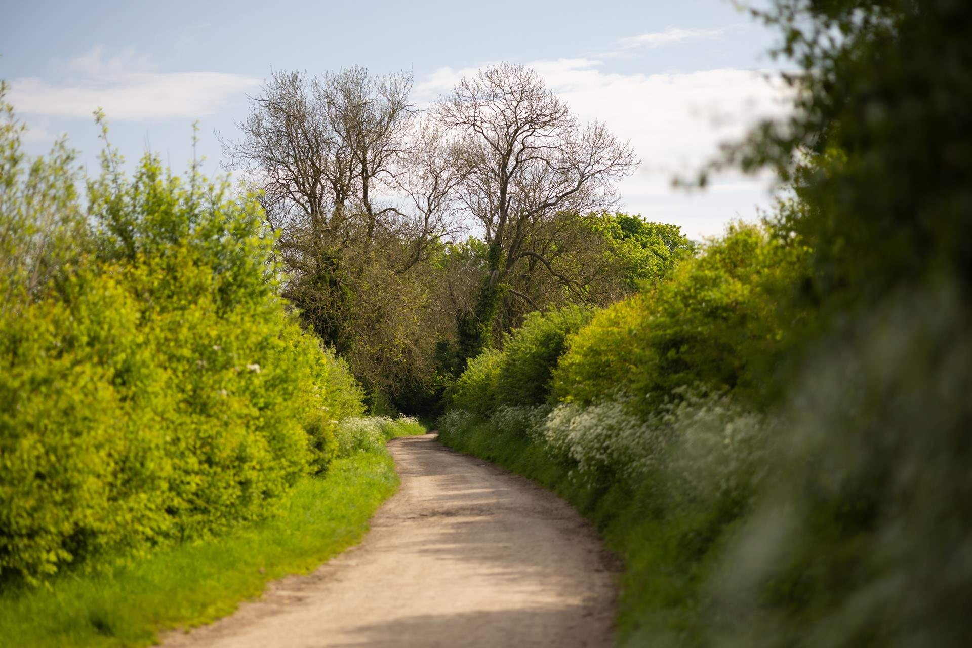 There are so many walks right from your doorstep.