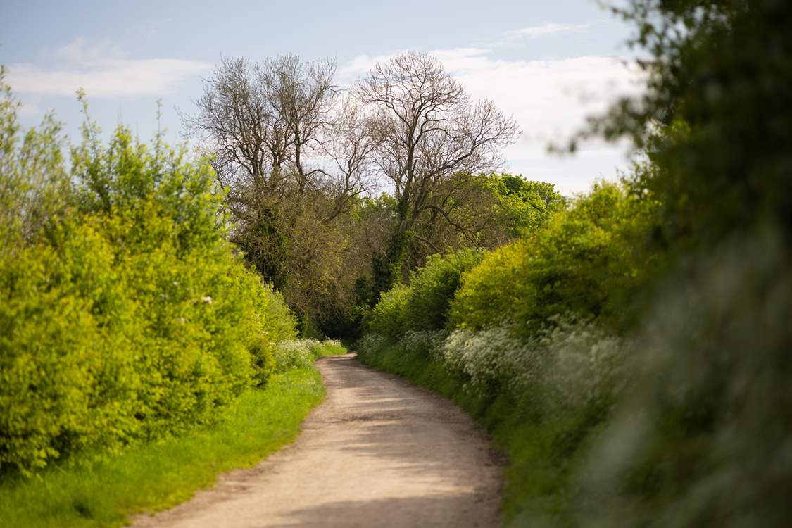 There are so many walks right from your doorstep.