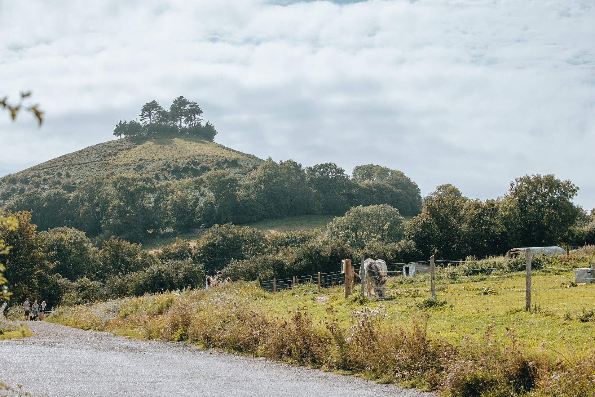 For a family day out head to Symondsbury Estate with its cafe, shop, animals and wonderful walk to the top of Colmer's Hill.