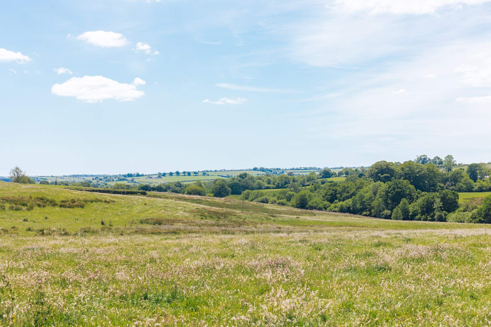 Slow down and take in the amazing view from the back garden of Spring View or put your boots on and explore until your heart's content.