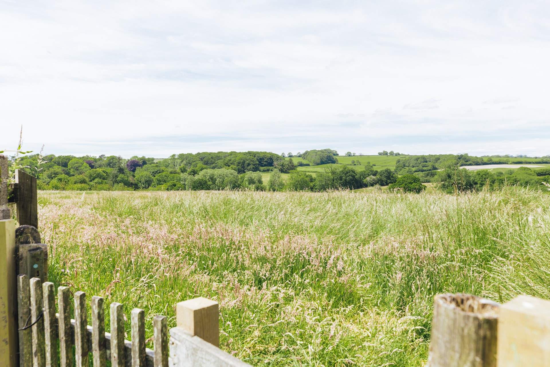 Simply stunning, come rain or shine.