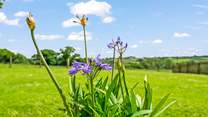Bursts of colour can be enjoyed at every corner of this magical spot.