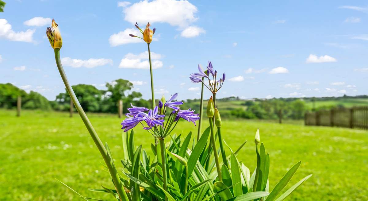 Bursts of colour can be enjoyed at every corner of this magical spot.