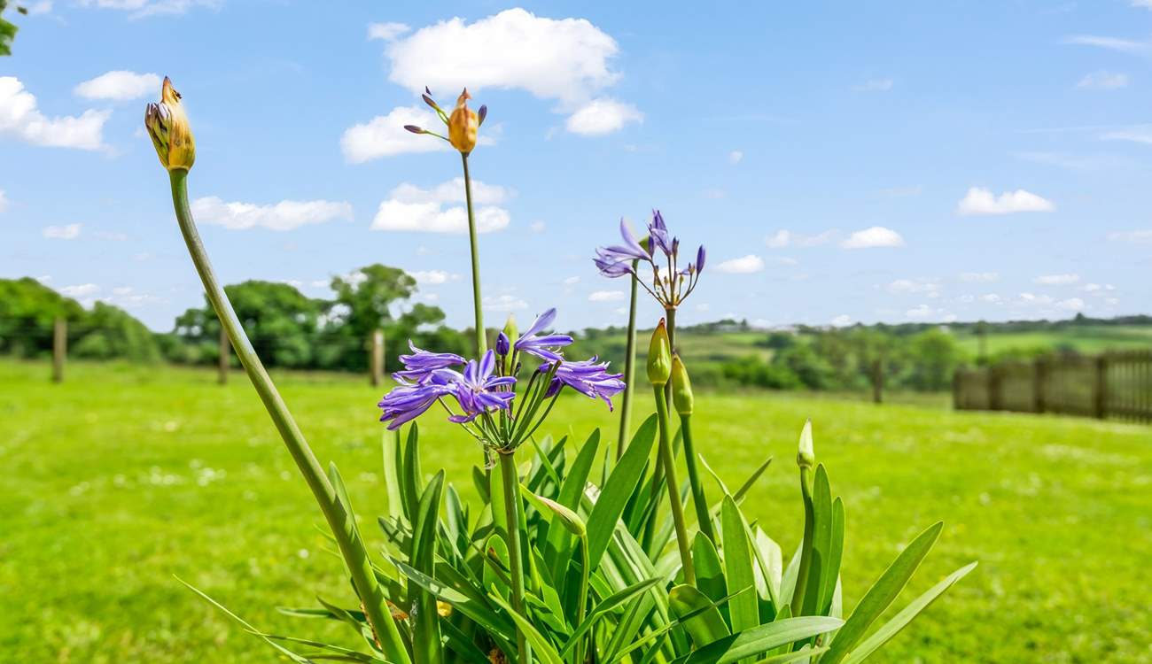 Bursts of colour can be enjoyed at every corner of this magical spot.