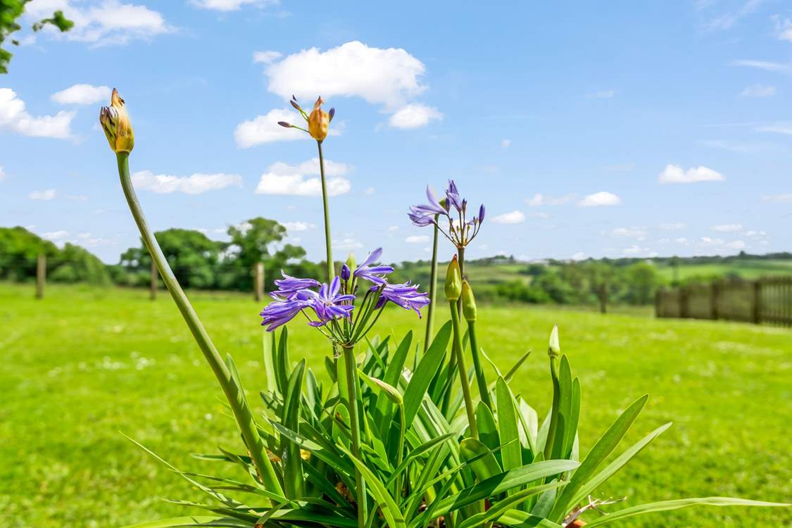 Bursts of colour can be enjoyed at every corner of this magical spot.