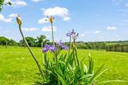 Bursts of colour can be enjoyed at every corner of this magical spot.