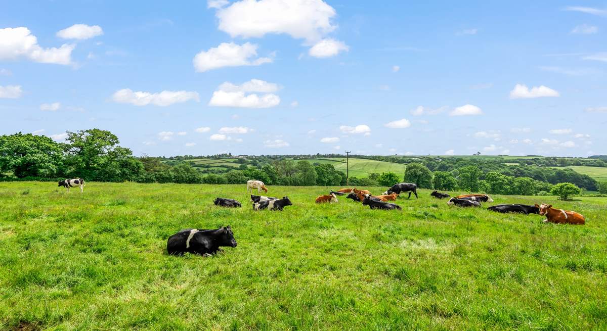 Your neighbours are such a pretty sight to behold. 