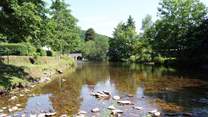 The captivating Exmoor scenery is so pretty - this is the river Barle at Dulverton.