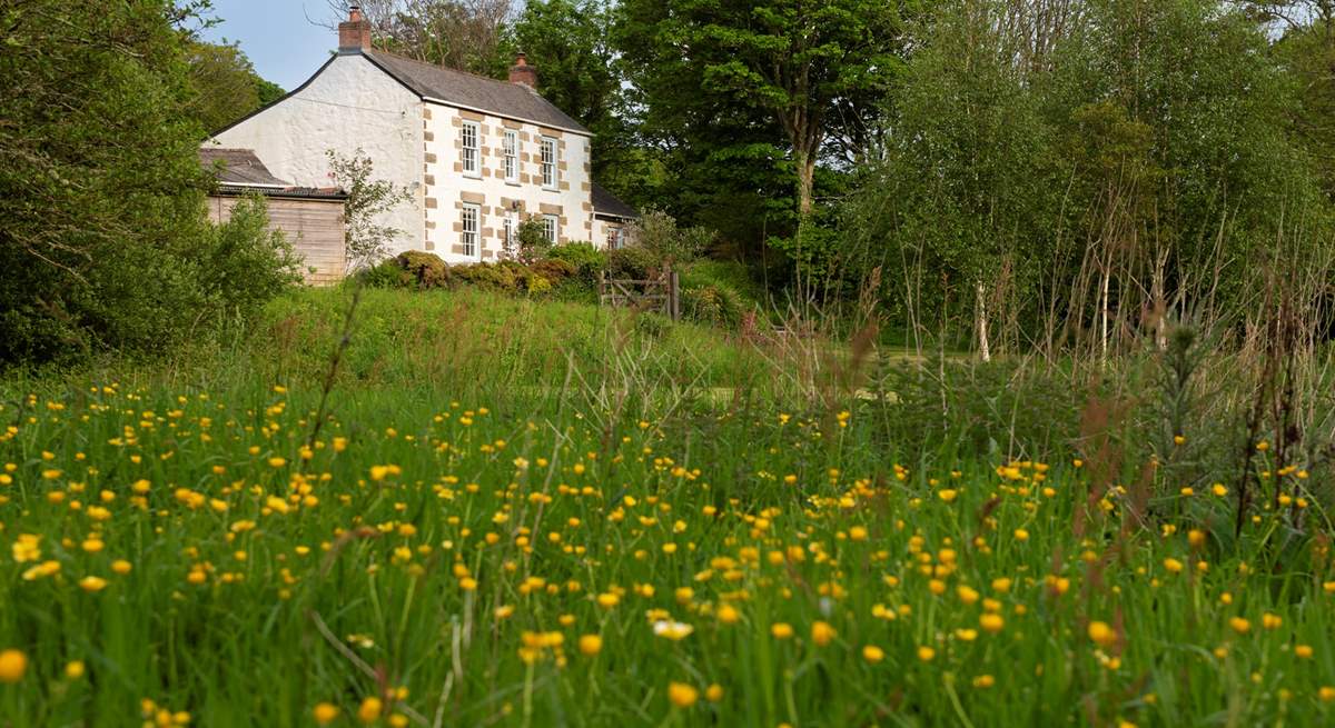 Stunning from very angle, Dalgover House is a wonderful holiday home.