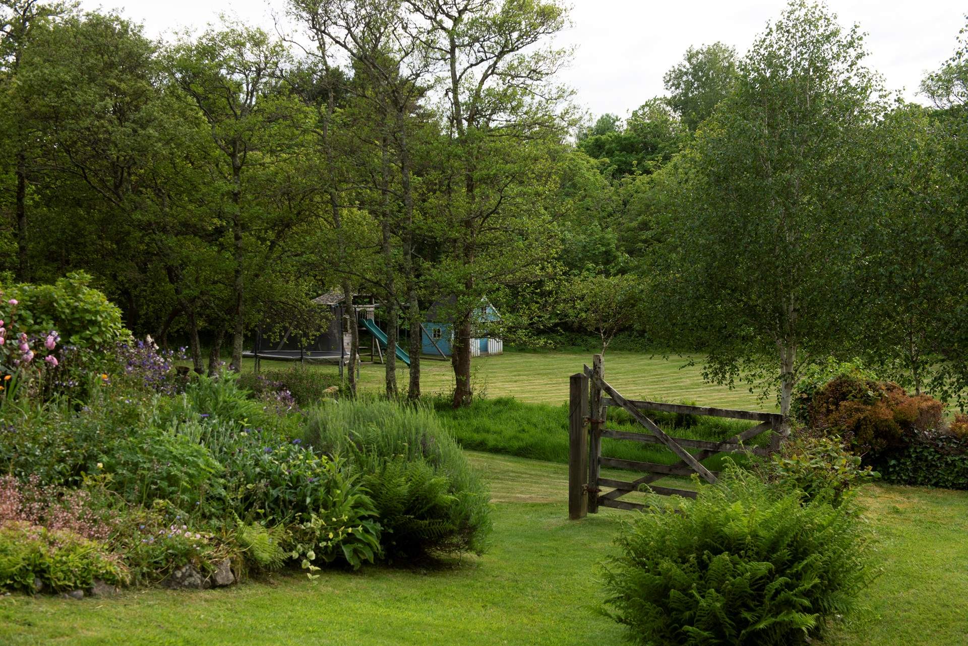 There is a stream that trickles nearby and a neighbouring pony you can sometimes glimpse through the thicket.
