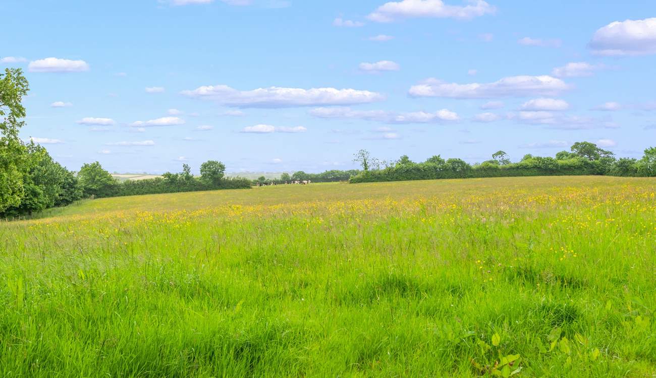 You will never tire of these fabulous views.