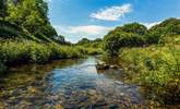 Anyone for a paddle in one of the beautiful rivers which meander through Exmoor? What a perfect spot on a hot day, especially for your four-legged friends. - Thumbnail Image