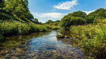 Anyone for a paddle in one of the beautiful rivers which meander through Exmoor? What a perfect spot on a hot day, especially for your four-legged friends.