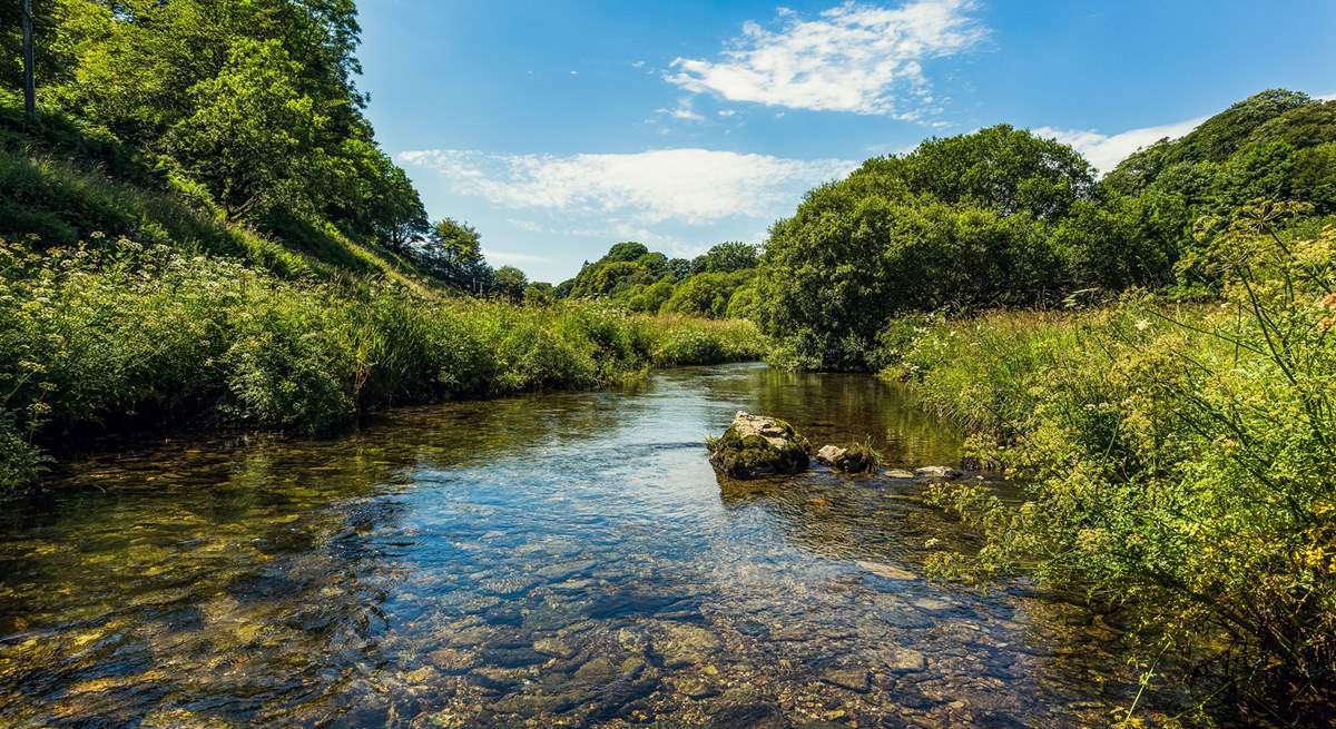 Anyone for a paddle in one of the beautiful rivers which meander through Exmoor? What a perfect spot on a hot day, especially for your four-legged friends.