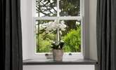 The cottage has wraparound gardens, viewed from every window. - Thumbnail Image