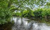 One of the many beautiful rivers which can be found meandering through Dartmoor. - Thumbnail Image