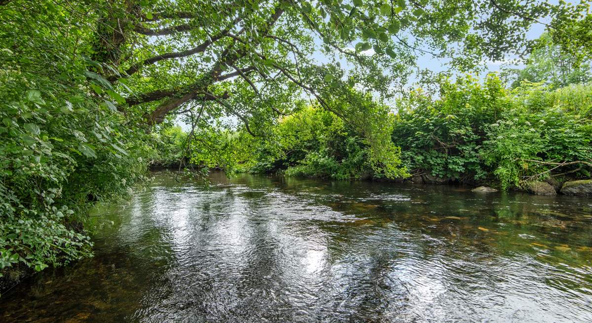 One of the many beautiful rivers which can be found meandering through Dartmoor.