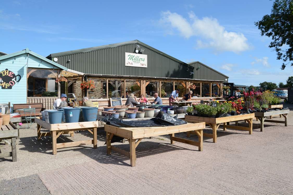 Welcome to the Teapot Cafe at Millers Farm Shop in Axminster. A lovely day out gathering fresh produce can be enjoyed here.