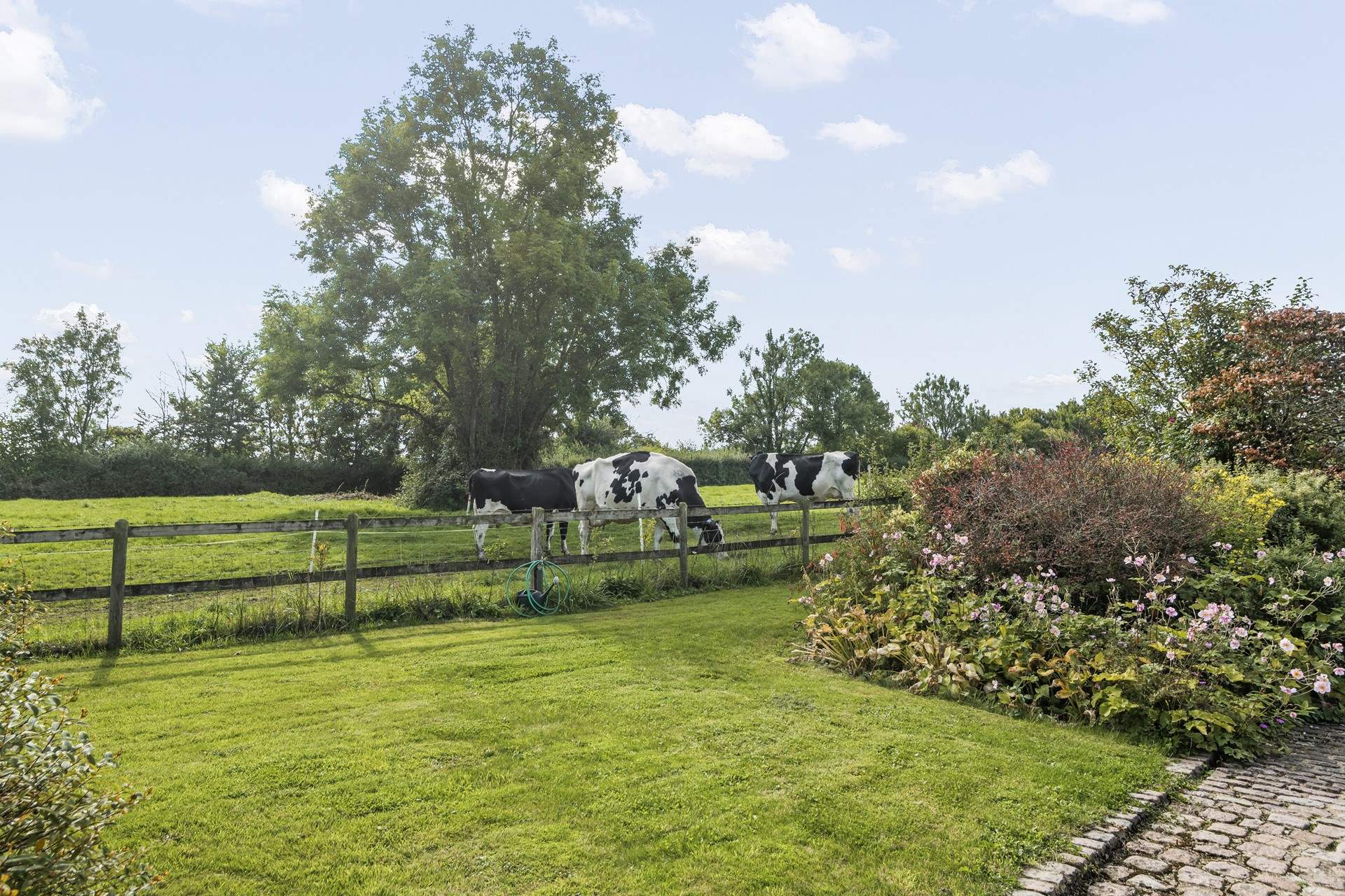 Say hello to the neighbours.