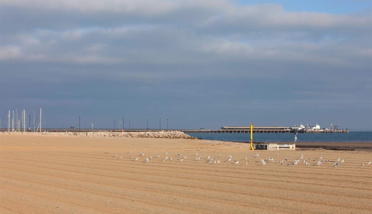 Ryde has a lovely sandy beach to explore.