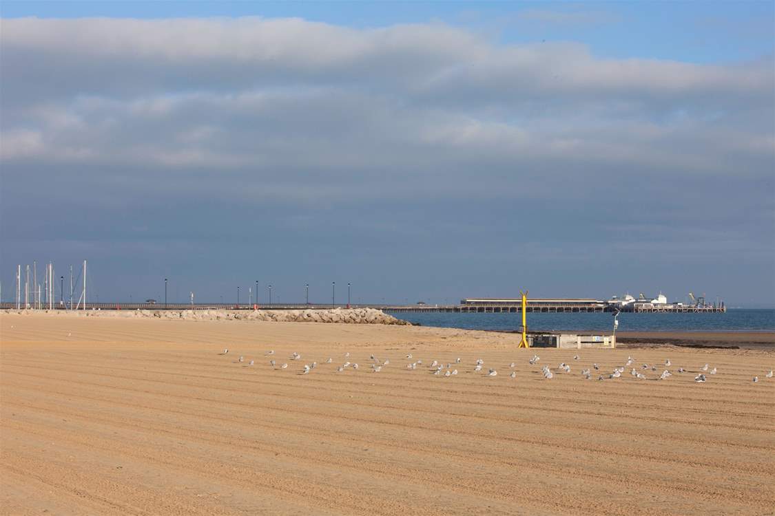 Ryde has a lovely sandy beach to explore.