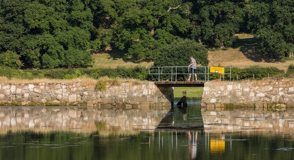 There are walks galore from coastline to countryside - walk over to the pretty village of Bembridge.