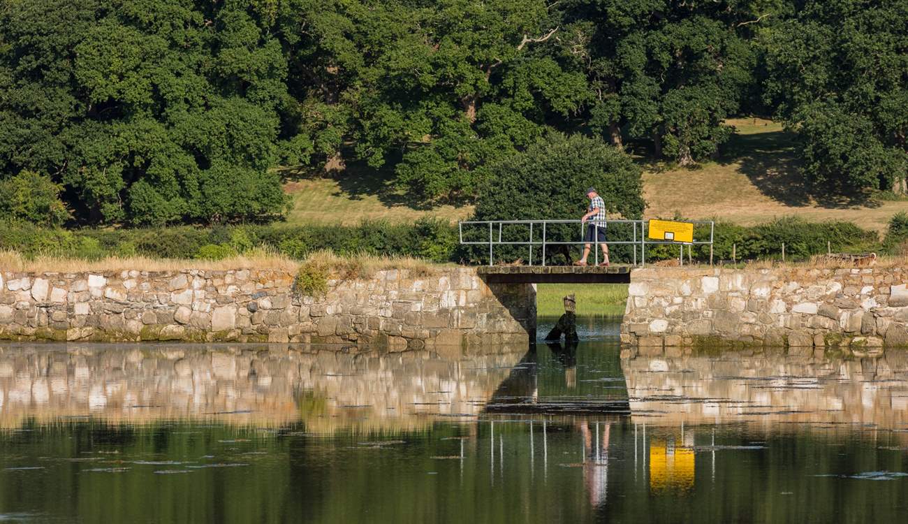 There are walks galore from coastline to countryside - walk over to the pretty village of Bembridge.
