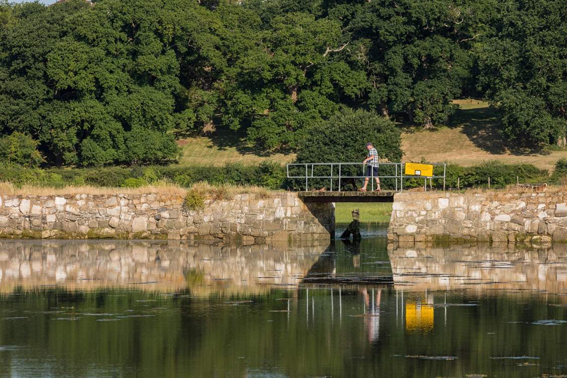 There are walks galore from coastline to countryside - walk over to the pretty village of Bembridge.